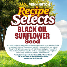 Pennington-Select-Black-Oil-Sunf2 - USA Mega Market