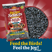 Pennington-Select-Black-Oil-Sunf4 - USA Mega Market