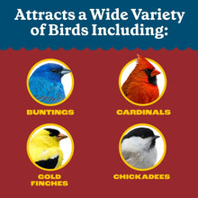 Pennington Recipe Selects Black Oil Sunflower Seed Dry Wild Bird Feed, Bird Food, 1 Pack