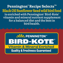 Pennington Recipe Selects Black Oil Sunflower Seed Dry Wild Bird Feed, Bird Food, 1 Pack