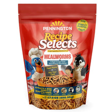 Pennington-Select-Mealworms-Blue1 - USA Mega Market