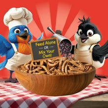 Pennington-Select-Mealworms-Blue3 - USA Mega Market