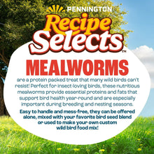 Pennington Recipe Selects Dried Mealworms for Birds, Bluebird and Wild Bird Food for Outside Feeder, 17.6 oz Bag, 1 Pack