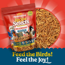 Pennington-Select-Mealworms-Blue5 - USA Mega Market