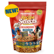 Pennington-Select-Mealworms-Blue - USA Mega Market
