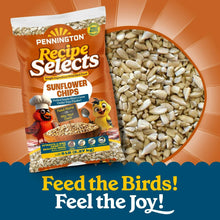 Pennington Recipe Selects Sunflower Chips, Dry Wild Bird Food and Seed, 5 lb. Bag, 1 Pack