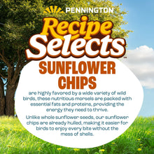 Pennington-Select-Sunflower-Chip3 - USA Mega Market