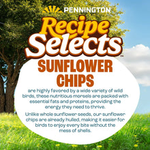 Pennington Recipe Selects Sunflower Chips, Dry Wild Bird Food and Seed, 5 lb. Bag, 1 Pack