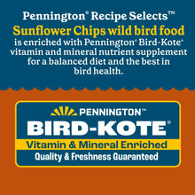 Pennington Recipe Selects Sunflower Chips, Dry Wild Bird Food and Seed, 5 lb. Bag, 1 Pack