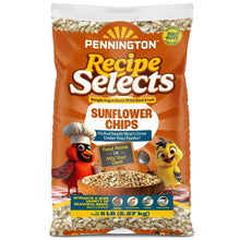 Pennington Recipe Selects Sunflower Chips, Dry Wild Bird Food and Seed, 5 lb. Bag, 1 Pack