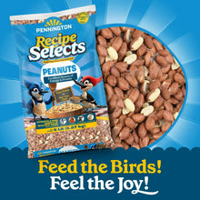 Pennington-Shelled-Peanuts-Wildl1 - USA Mega Market