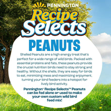 Pennington Recipe Selects Shell Free Whole Peanuts for Birds and Wildlife, Wild Bird Food, 5 lb Bag, Dry