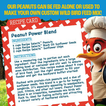 Pennington-Shelled-Peanuts-Wildl4 - USA Mega Market
