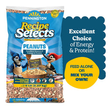 Pennington-Shelled-Peanuts-Wildl6 - USA Mega Market