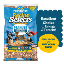 Pennington Recipe Selects Shell Free Whole Peanuts for Birds and Wildlife, Wild Bird Food, 5 lb Bag, Dry