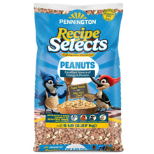 Pennington-Shelled-Peanuts-Wildl8 - USA Mega Market