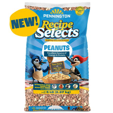 Pennington-Shelled-Peanuts-Wildl - USA Mega Market