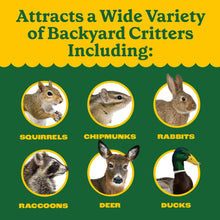 Pennington Classics Squirrel & Critter Blend Wildlife Food