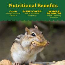 Pennington Classics Squirrel & Critter Blend Wildlife Food