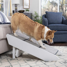 PetSafeCozyUp-Steps-RampCombo4-_2_cd88e487-d58f-4f4d-989b-3d5907f14c12 - USA Mega Market