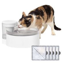 PetSafeOutlast90ozCatWaterFountain-Bundle8-_1 - Brands For Less USA