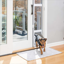 PetSafe Sliding Glass Pet Door, 2-Piece, Small
