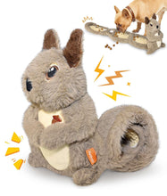 Petbobi-Interactive-Plush-Squirrel-Dog-Toy-with-Treat-Dispenser-Grey-d7dcc281-4b7c-4d82-88ea-ba4_6665_1 - USA Mega Market