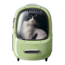 PetkitBreezy2SmartCatCarrierwithBuilt-inVentilation-UVProtection7-_4 - USA Mega Market