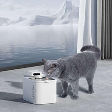 PetkitEversweetCordlessMaxSmartPetDrinkingFountain5-_2 - USA Mega Market