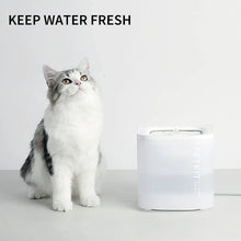 PetkitEversweetSoloSESmartPetWaterFountain1 - USA Mega Market
