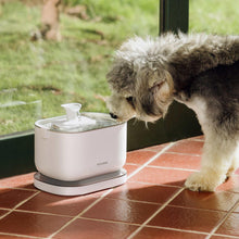 Petlibro-Cordless-Pet-Water-Fountain3-_5 - USA Mega Market
