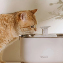 Petlibro-Cordless-Pet-Water-Fountain4-_3 - USA Mega Market