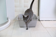 Petmate-Durable-Open-Top-Entry-Easy-to-Clean-Cat-Litter-Pan-Plastic-Cat-Litter-Box-Jumbo-Gray.9c864a3c4a5ea8b62a0a0982d3cd6272_c5bcb78f-b84d-4421-8a6c-465fbf21e3f5 - USA Mega Market