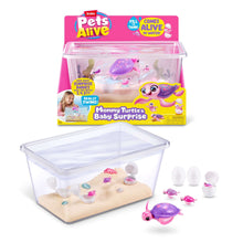 Pets-Alive-Mama-and-Baby-Turtle-Electronic-Plush-Girls-Toy-by-ZURU-a74fd15b-6ea1-4b41-a8da-c728f_9898_1 - USA Mega Market