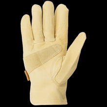 PlainsmanPremiumCowhideLeatherGloves_AssortedSizes_6pk._2 - USA Mega Market