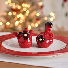 PoinsettiaHolidayCardinalSaltandPepperSet5-_1 - USA Mega Market