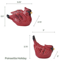 Poinsettia_Holiday_Cardinal_Salt_and_Pepper_Set_3 - USA Mega Market