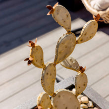 PricklyPearCactusSculpturebyDesertSteel1-_2 - USA Mega Market