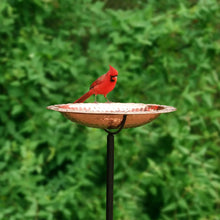 PureCopperStandingBirdBathbyGoodDirections3-_2 - USA Mega Market