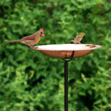 PureCopperStandingBirdBathbyGoodDirections4-_1 - USA Mega Market