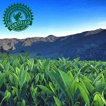 Pure Leaf Real Brewed Tea Sweet Tea 16.9 fl. oz., 18 pk.