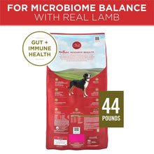 Purina-ONE-SmartBlend-Natural-Lamb-and-Rice-Adult-Dry-Dog-Food-44-lbs-2-_6 - USA Mega Market
