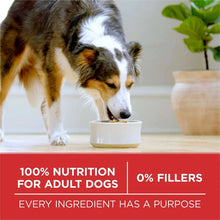 Purina-ONE-SmartBlend-Natural-Lamb-and-Rice-Adult-Dry-Dog-Food-44-lbs-5-_3 - USA Mega Market