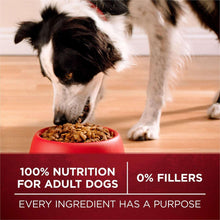 Purina-ONE-SmartBlend-True-Instinct-Real-Turkey-Venison-Adult-Dry-Dog-Food-40-lbs-1-_9 - USA Mega Market