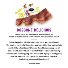 PurinaBeggin-StripsDogTreats-Bacon-BaconandCheeseFlavors-32oz-2pk-1-_18 - USA Mega Market