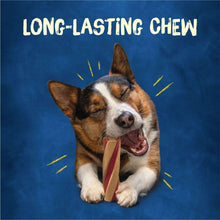 PurinaBusywithBeggin-Twist-dAdultDogChewBoneTreats-18ct-Pouch3-_10 - USA Mega Market