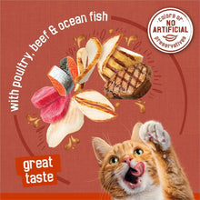 PurinaFriskiesGravyPleasersVarietyPack-AdultWetCatFood-5-5oz-60ct-6-d70e6da4-0016-4f23-b230-734c_2274_12 - USA Mega Market
