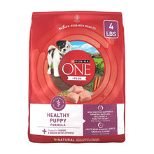 PurinaONEPlusHealthyPuppyDryDogFood-HighProteinGrowthSupportwithRealChicken-4lbBag-_1 - USA Mega Market