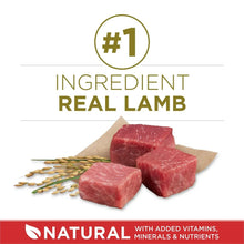 PurinaONESmartBlendNaturalLambandRice_AdultDryDogFood_44lbs.6 - USA Mega Market