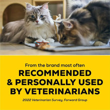 PurinaTidyCatsMulti-CatLightWeightClumpingCatLitter-19-5lbs-2-_6 - USA Mega Market